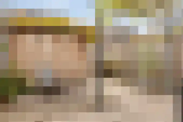 Wetstok 20 Best thumbnail 28