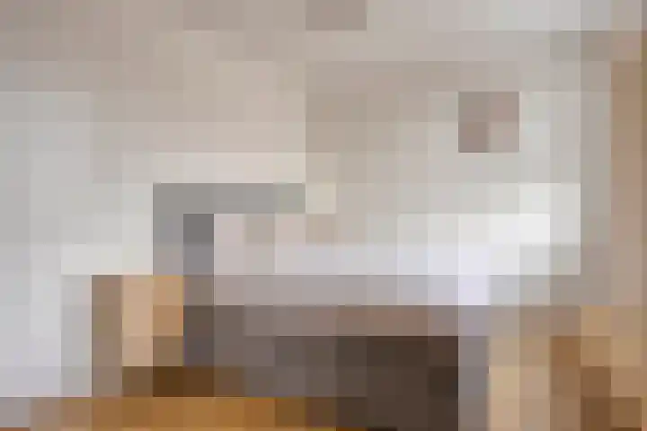 Wetstok 20 Best thumbnail 4