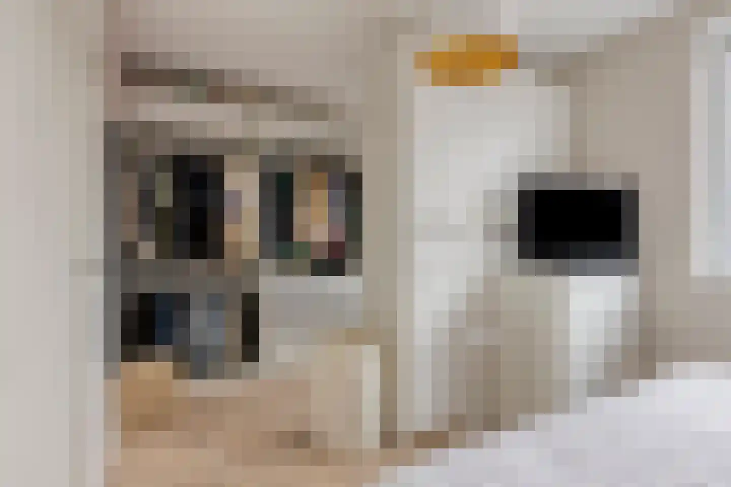 Wetstok 22 Best thumbnail 16