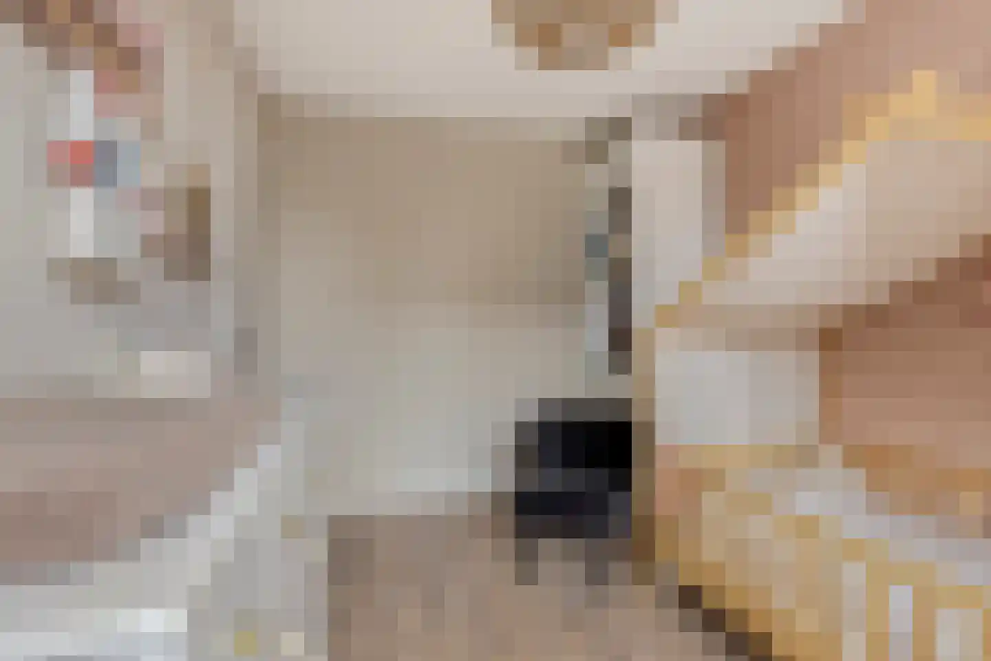 Wetstok 22 Best thumbnail 23
