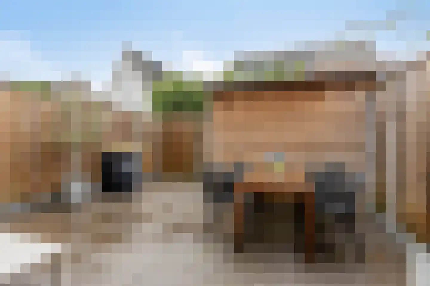 Wetstok 22 Best foto 3