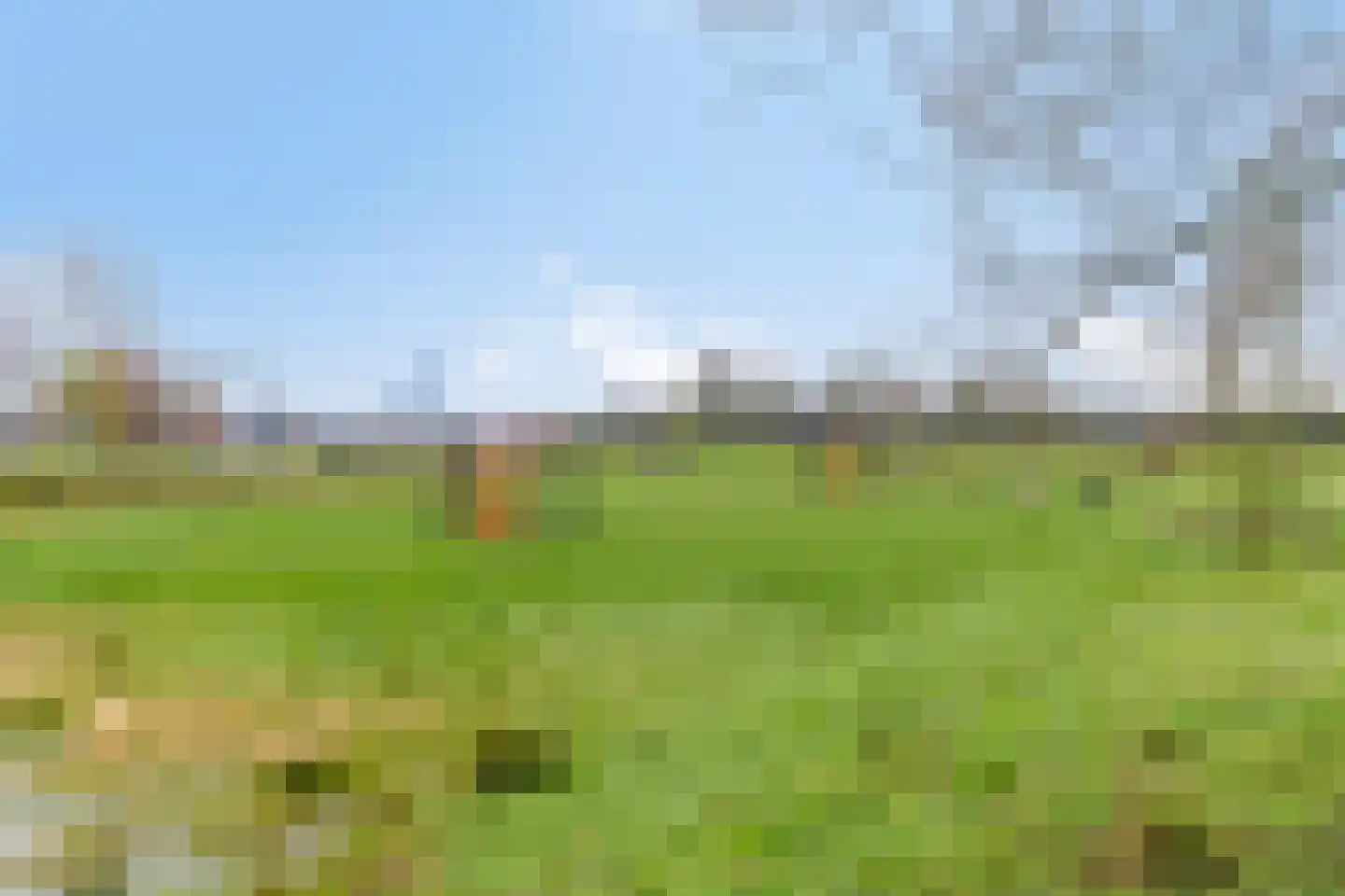 Wetstok 22 Best thumbnail 32