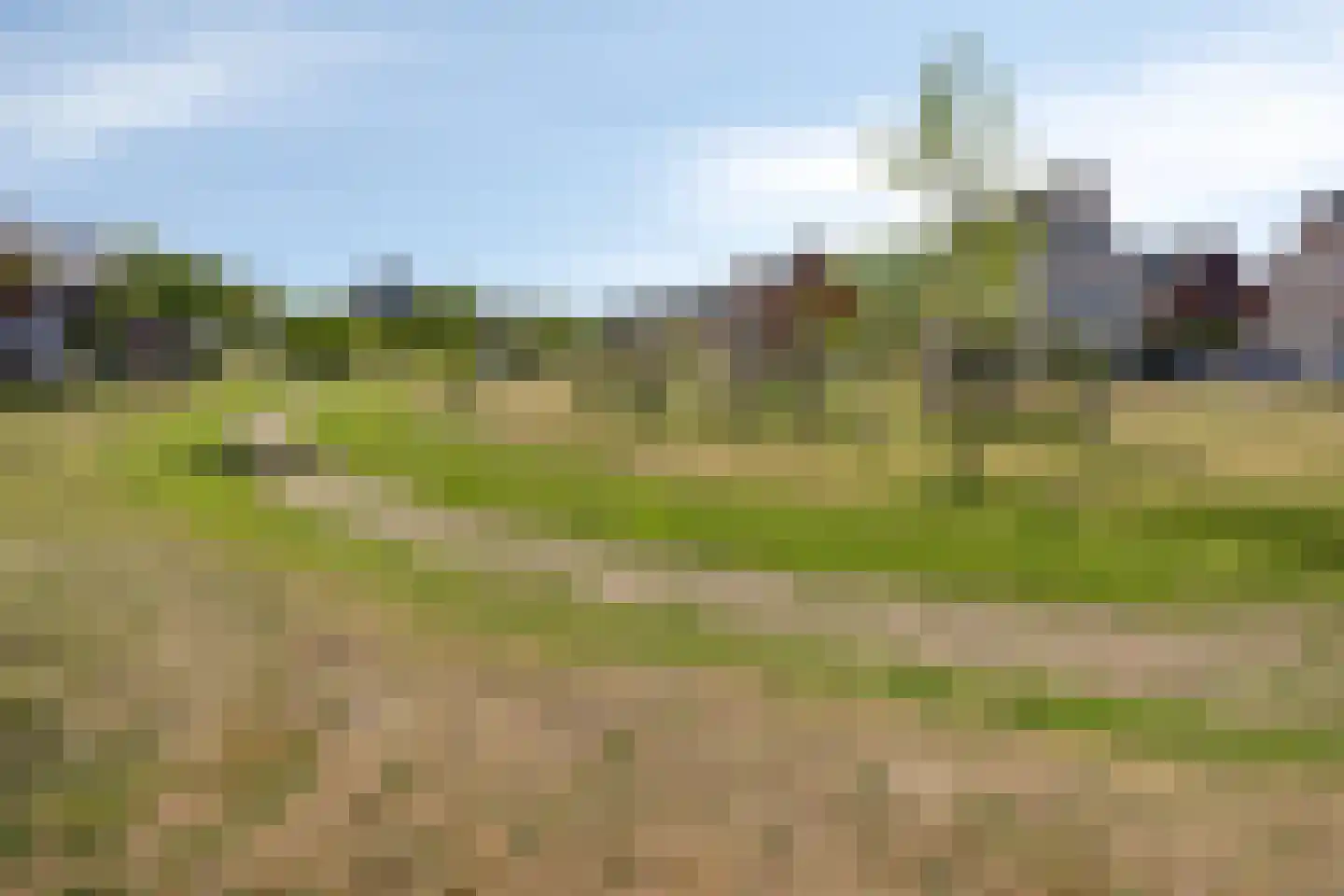 Wetstok 7 Best thumbnail 29
