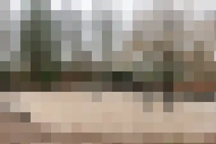 Wetstrikkel 30 Uden thumbnail 47