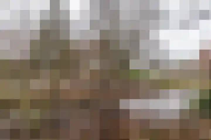 Wetstrikkel 30 Uden thumbnail 48