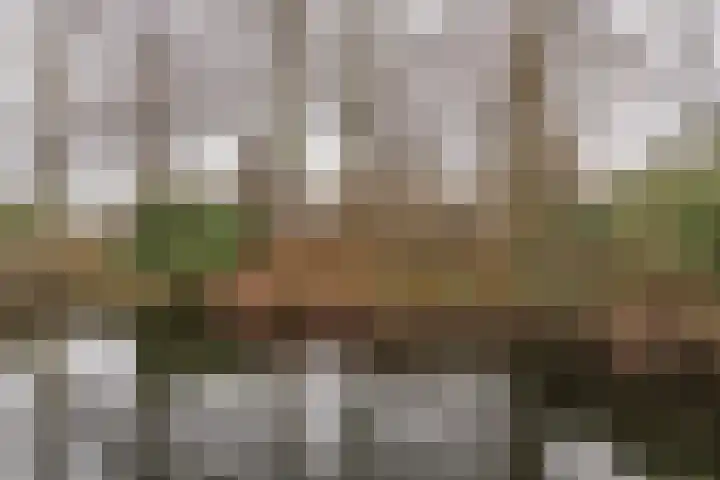 Wetstrikkel 30 Uden thumbnail 50