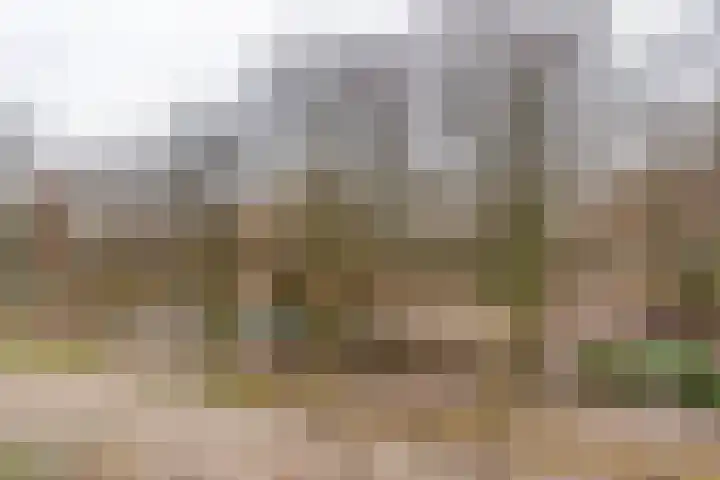Wetstrikkel 30 Uden thumbnail 51