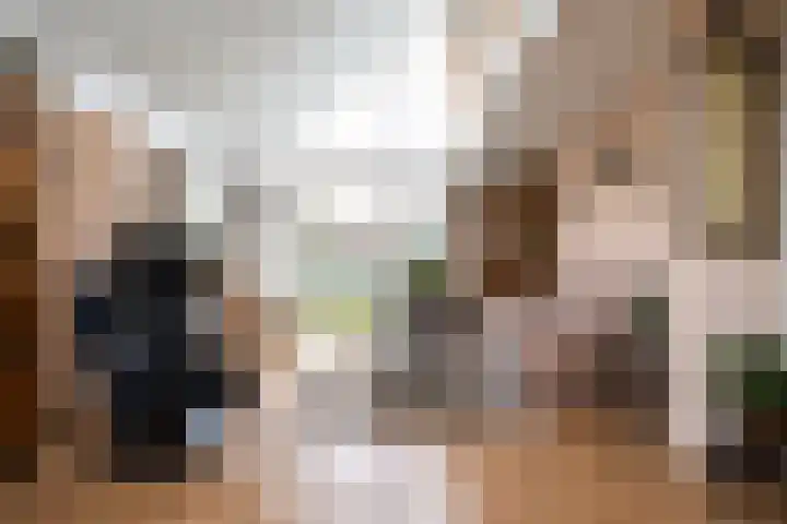 Wetterbies 15 Koudum thumbnail 14