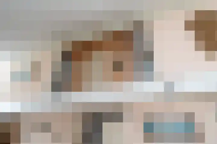 Wetterbies 15 Koudum thumbnail 17