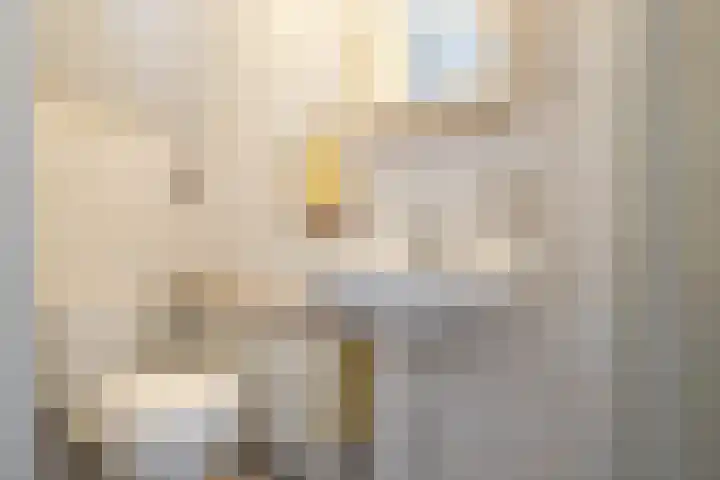 Wetterbies 15 Koudum thumbnail 25