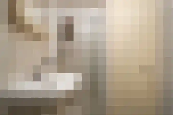 Wetterbies 15 Koudum thumbnail 26