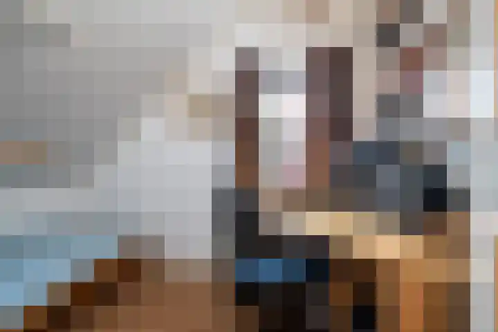 Wetterbies 15 Koudum thumbnail 30