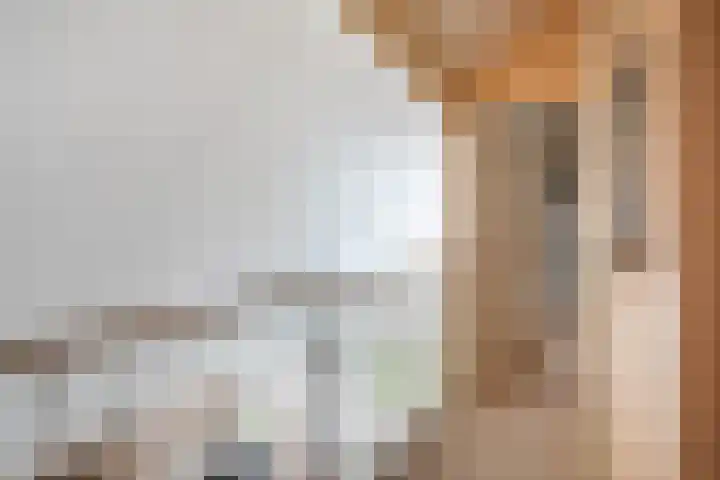 Wetterbies 15 Koudum thumbnail 32