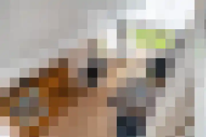 Wetterbies 15 Koudum thumbnail 33