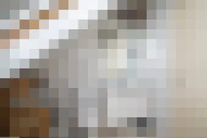 Wetterbies 15 Koudum thumbnail 39