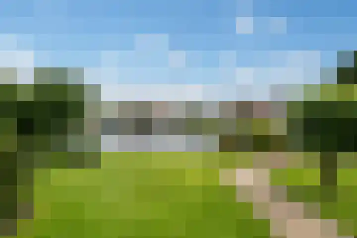Wetterbies 15 Koudum thumbnail 43