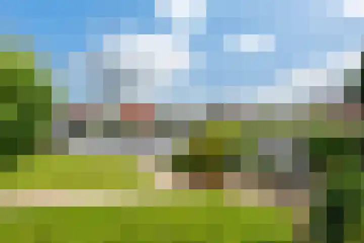 Wetterbies 15 Koudum thumbnail 45