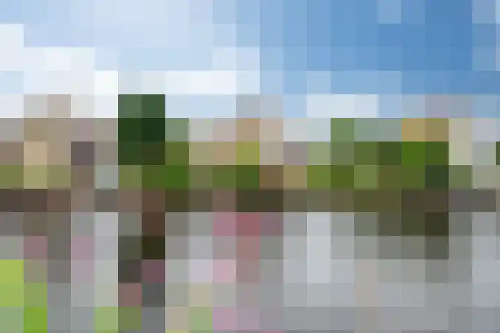 Wetterbies 15 Koudum thumbnail 46
