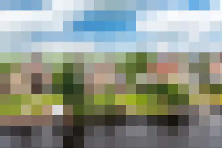 Wetterbies 15 Koudum thumbnail 51
