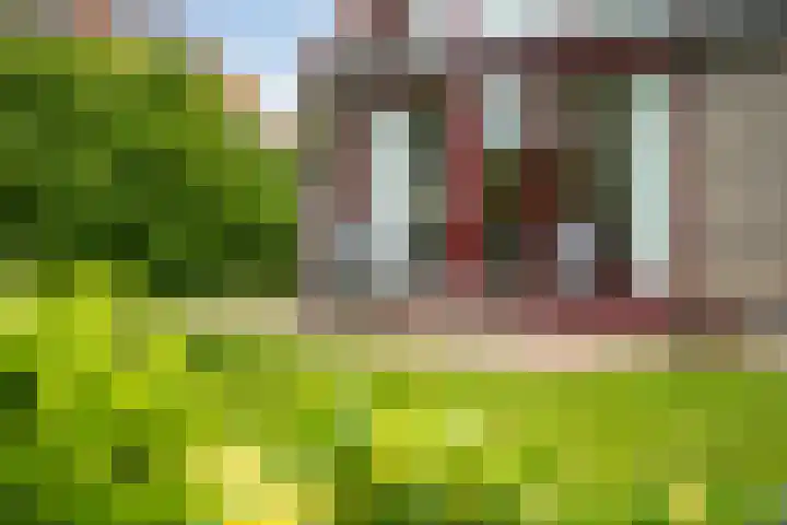 Wetterbies 15 Koudum thumbnail 9