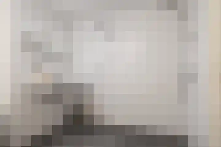 Wetterbies 18 Koudum thumbnail 18