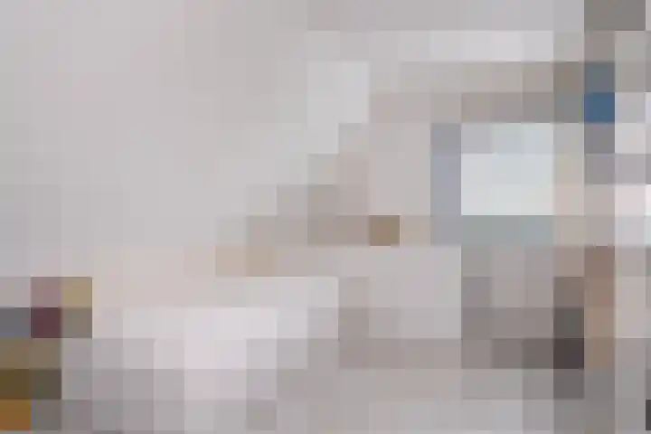 Wetterbies 18 Koudum thumbnail 20
