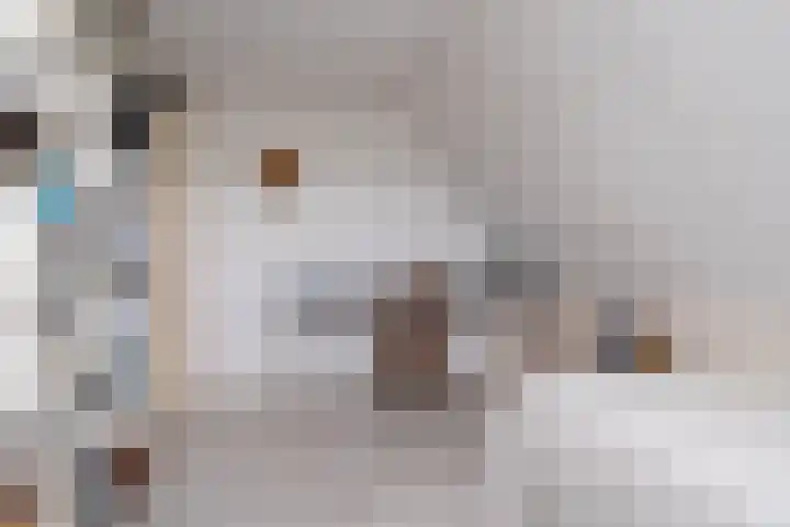 Wetterbies 18 Koudum thumbnail 21