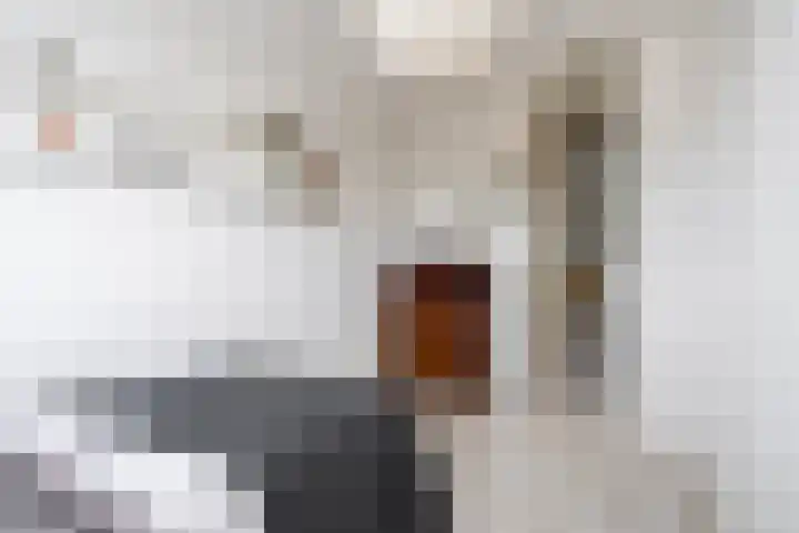Wetterbies 18 Koudum thumbnail 23