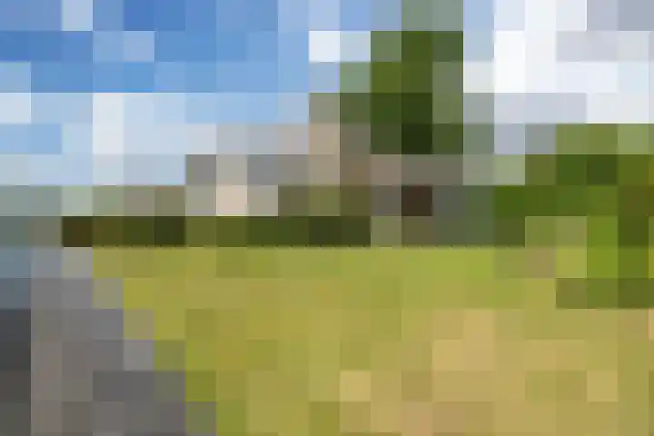 Wetterbies 18 Koudum thumbnail 30