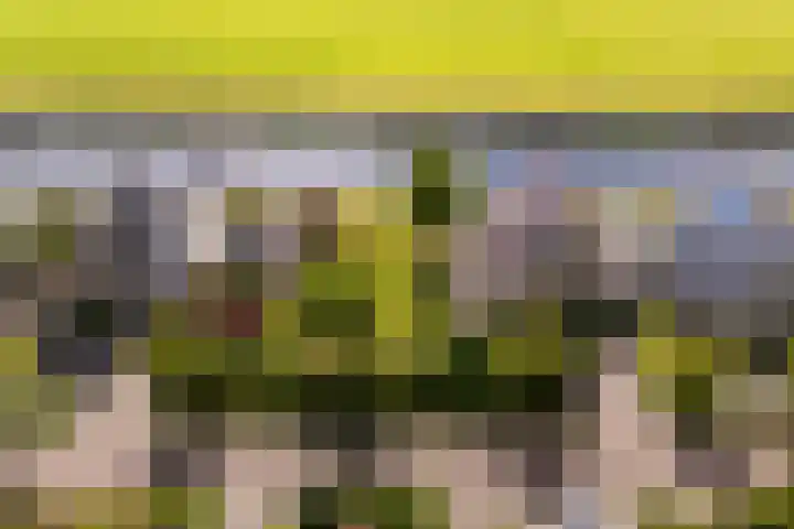 Wetterbies 18 Koudum thumbnail 31