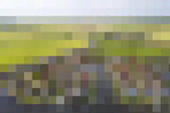 Wetterbies 18 Koudum thumbnail 32