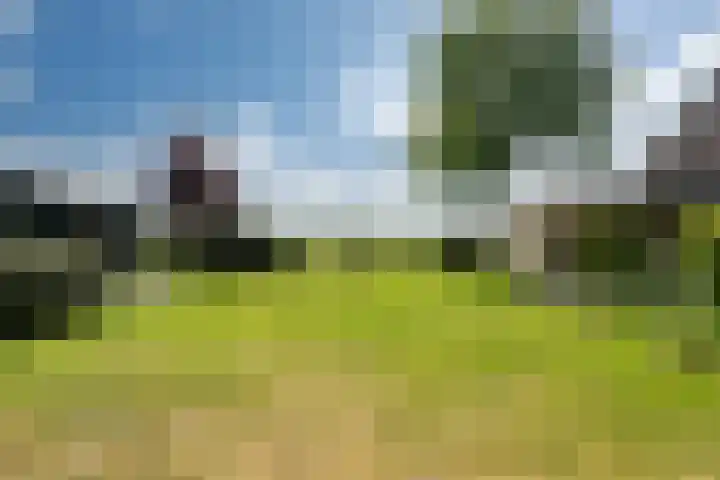 Wetterbies 18 Koudum thumbnail 34