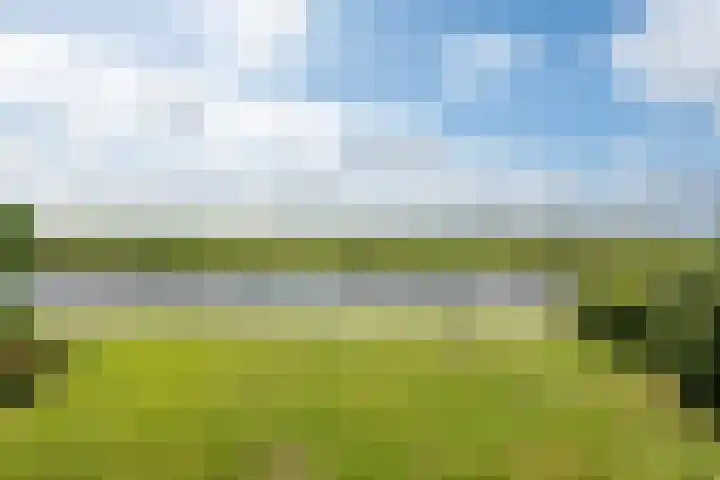 Wetterbies 18 Koudum thumbnail 35