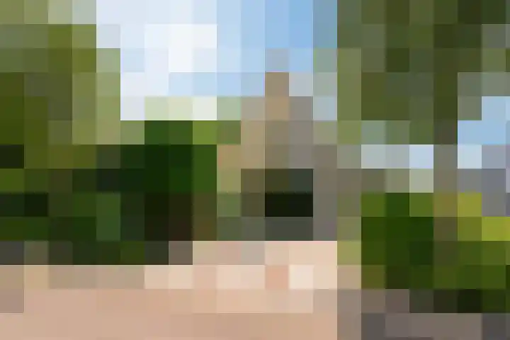 Wetterbies 18 Koudum thumbnail 4