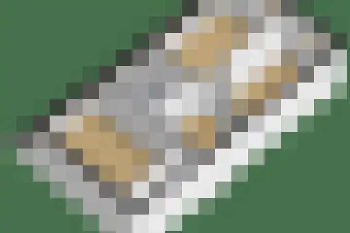 Wetterbies 18 Koudum thumbnail 43