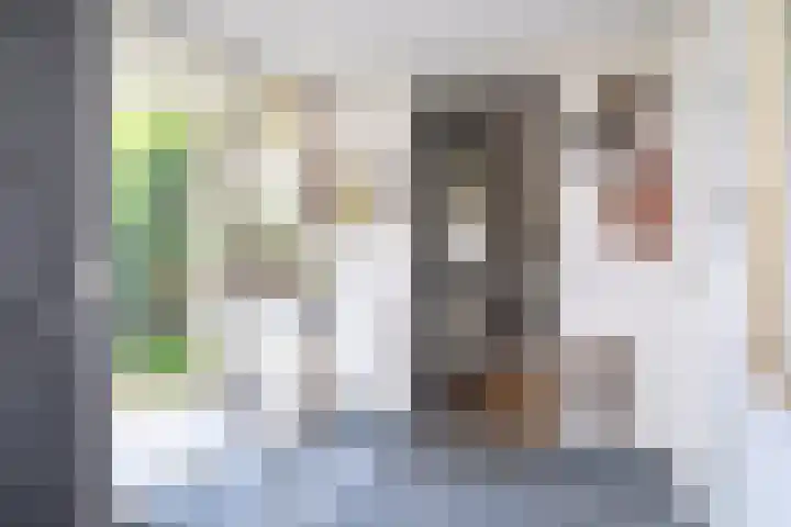 Wetterbies 18 Koudum thumbnail 5