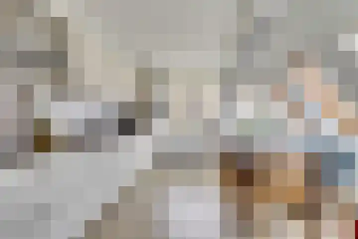 Wetterbies 21 Koudum thumbnail 10
