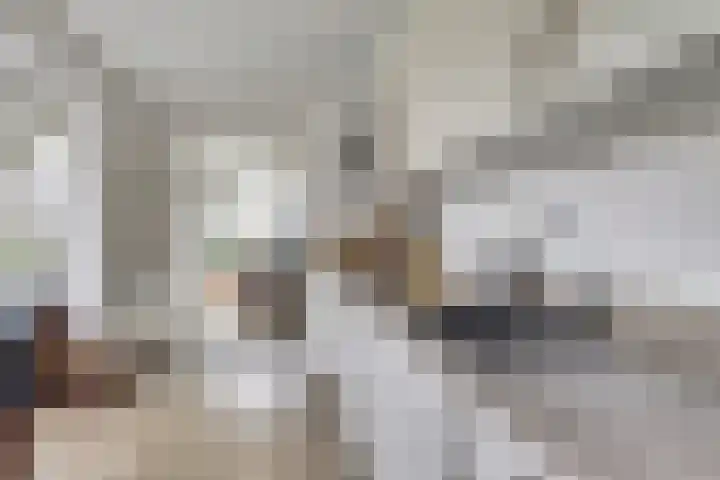 Wetterbies 21 Koudum thumbnail 12