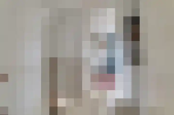 Wetterbies 21 Koudum thumbnail 13