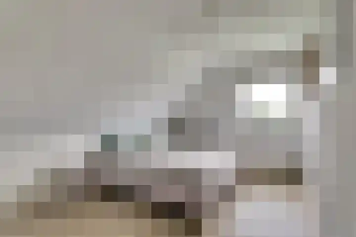 Wetterbies 21 Koudum thumbnail 16
