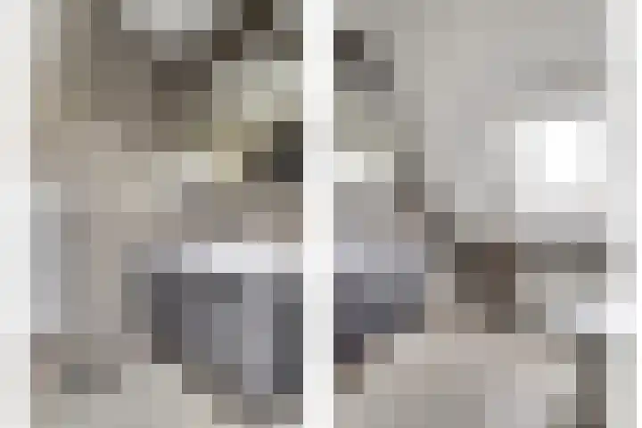 Wetterbies 21 Koudum thumbnail 19