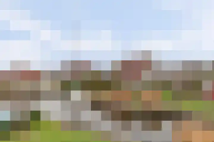 Wetterbies 21 Koudum thumbnail 26