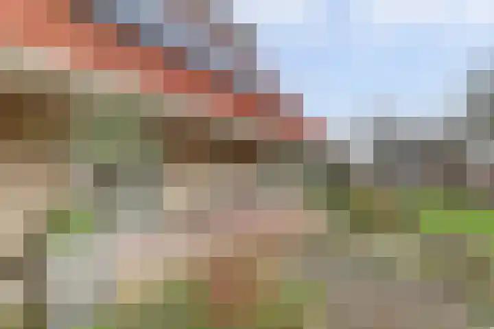 Wetterbies 21 Koudum thumbnail 27