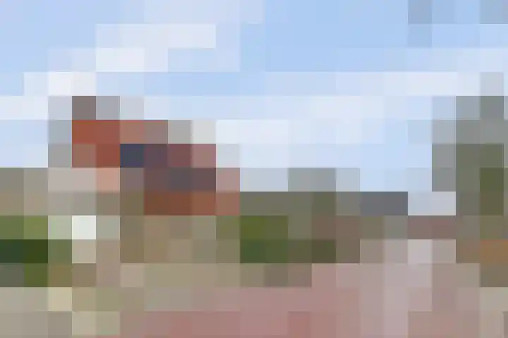 Wetterbies 21 Koudum thumbnail 28