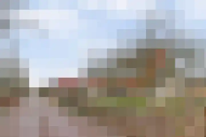 Wetterbies 21 Koudum thumbnail 29