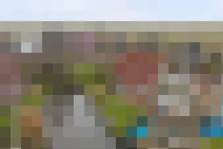 Wetterbies 21 Koudum thumbnail 30