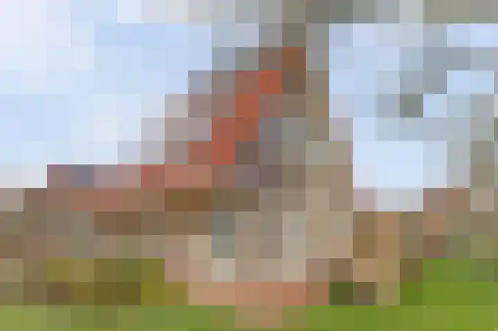 Wetterbies 21 Koudum thumbnail 31