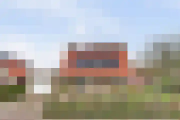 Wetterbies 21 Koudum thumbnail 32