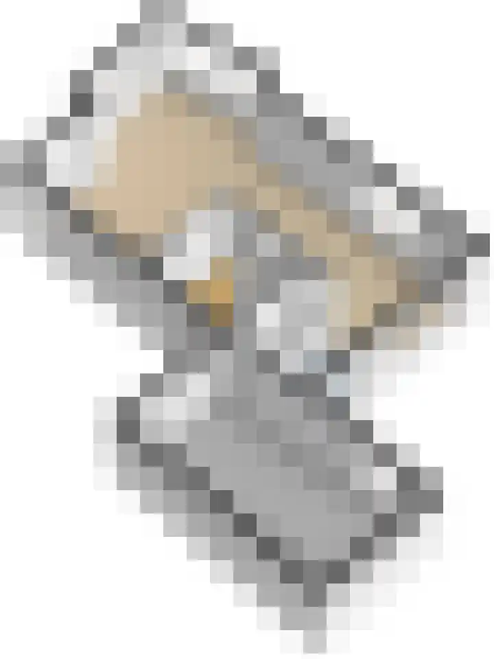 Wetterbies 21 Koudum thumbnail 35