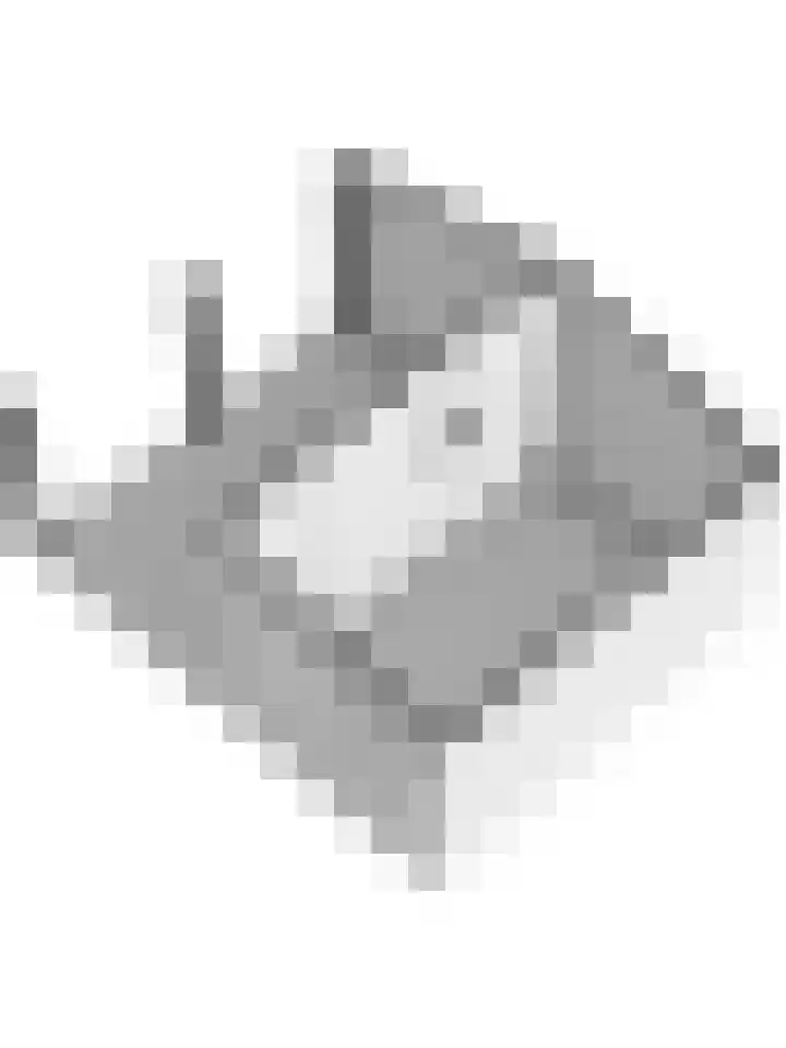 Wetterbies 21 Koudum thumbnail 41